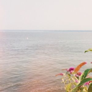 Meet your Posher, Isabelle